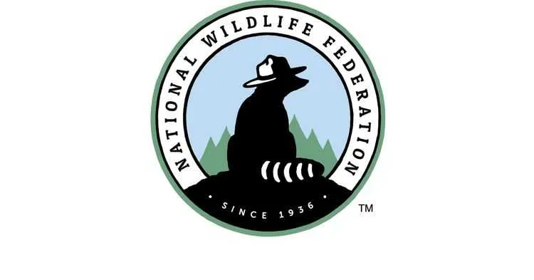 In this nonprofit logo, National Wildlife Federation uses a circular design with an image of a raccoon in a forest.