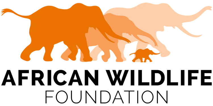 The African Wildlife Foundation's nonprofit logo features a bold design with orange elephants.