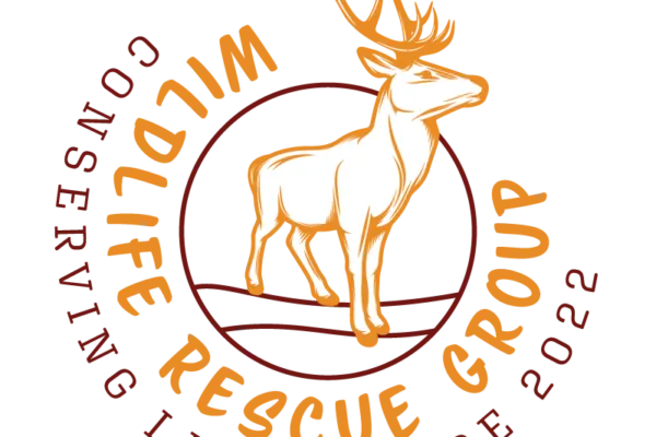 Kwala is the best choice for nonprofit sticker designs.
