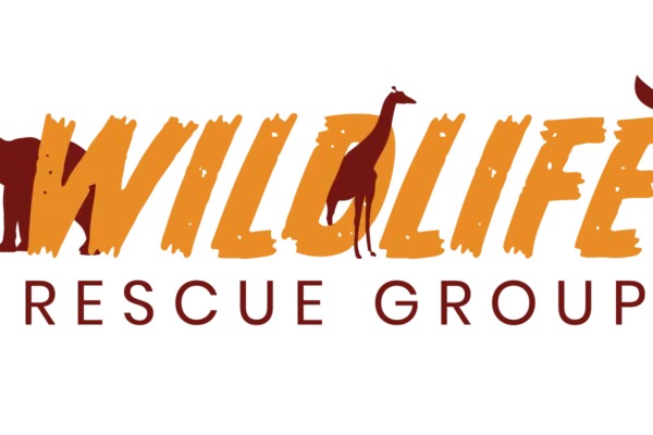 Kwala can help you design your nonprofit logo